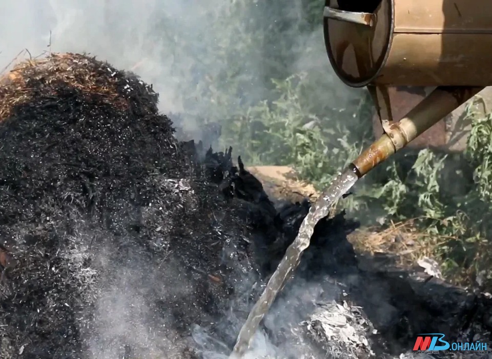 В Волгоградской области класс пожароопасности лес вырос до четвертого
